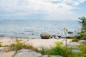 Rocky beach with smoth stones grass and flowers. Water horizon with a few skerries. Archipelago of Stockholm Sweden.